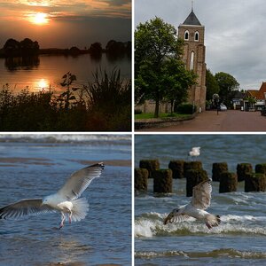 Holland