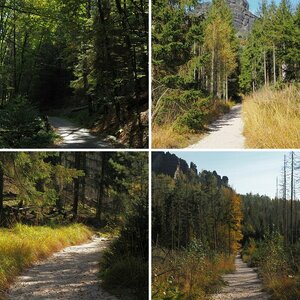 Herbstwanderung Elbi 16.10.24