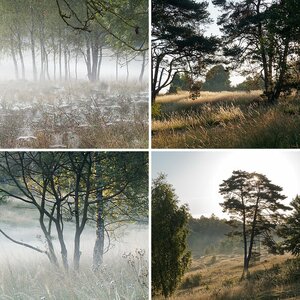 Landschaften