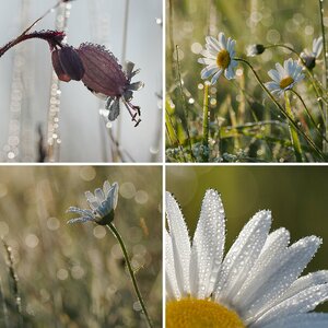 Frühling