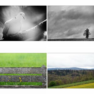 Alltag