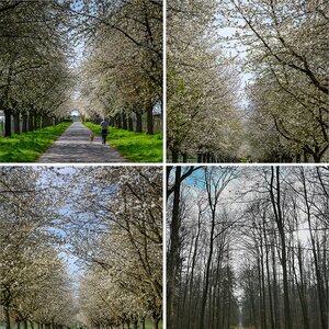 Diverses-08