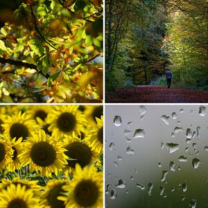 Unterschiedlich Fotos