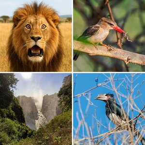 Von Windhuk nach Victoria Falls