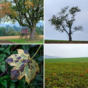Herbst