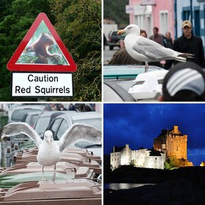 Schottland 2009