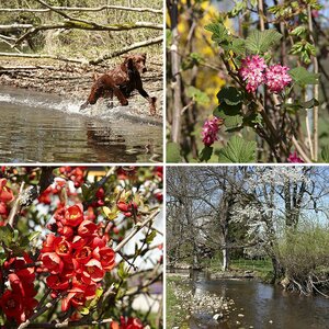 Würmfotos_19042009