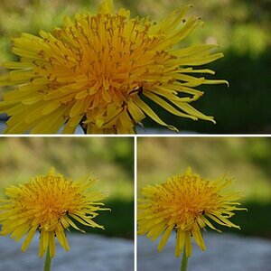 Test_Bilder