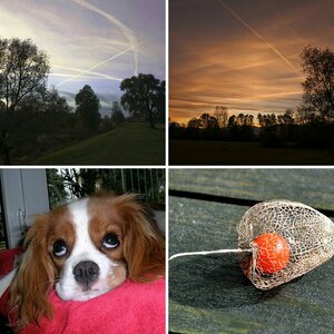 embelas_erste_Tests