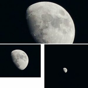 Mond