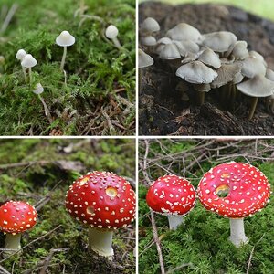 andere Bilder