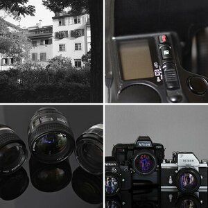 mon fotos