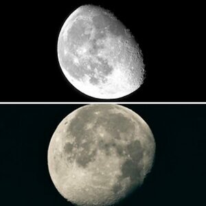 Mond