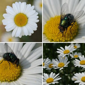 Frühling