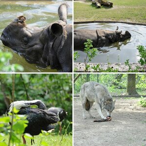 Tierpark Hellabrunn