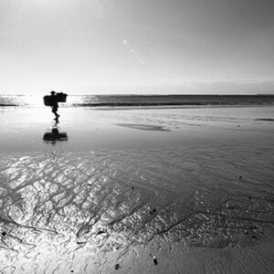 Strandläufer