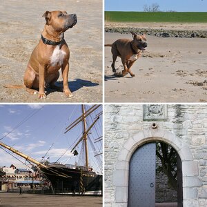 Tests & Diverses