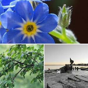Test