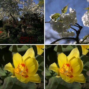 Frühling