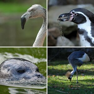 Naturzoo Rheine