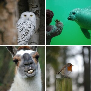 Rheiner Zoo