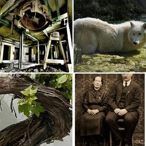 Fremdbilder_Bearbeitungsvorschläge