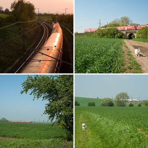 Bilder allgemein