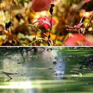 Natur und Landschaften