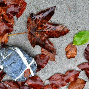 Herbst