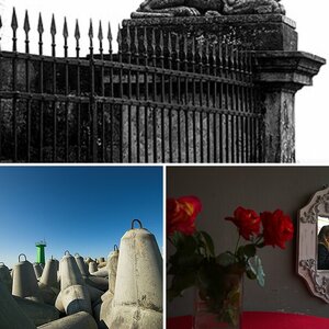 bilder meiner verwandlungen