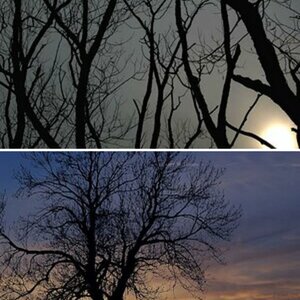 Landschaft und Natur