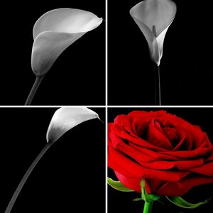 Blumen