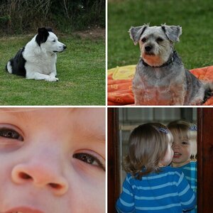 Meine Bilder