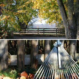 Herbst
