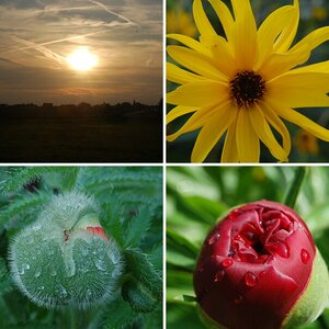 Erste Testbilder