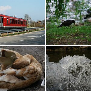 Wieder Unterwegs