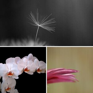 Natur