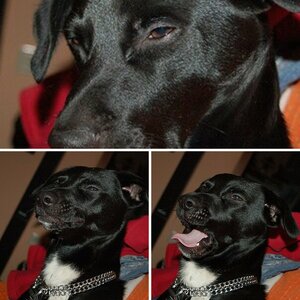 erste bilder