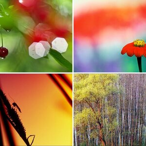 Natur