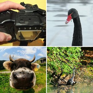 Meine Fotos