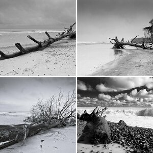 ostsee-2009