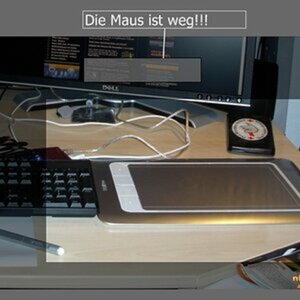 Forumsbeiträge