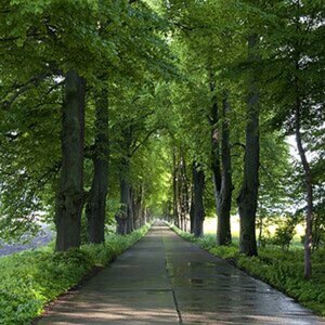 Usedom Mai 2010