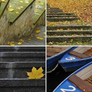 Herbst mit dem 50er