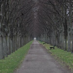 Meine Bilder