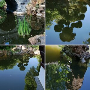 Spiegelungen