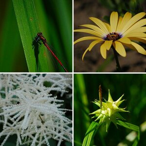 Botanischer Garten