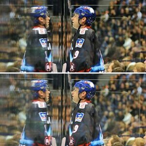 Hamburg Freezers vs. Adler Mannheim