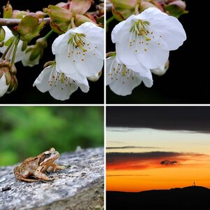 Natur