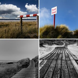 Borkum 2010